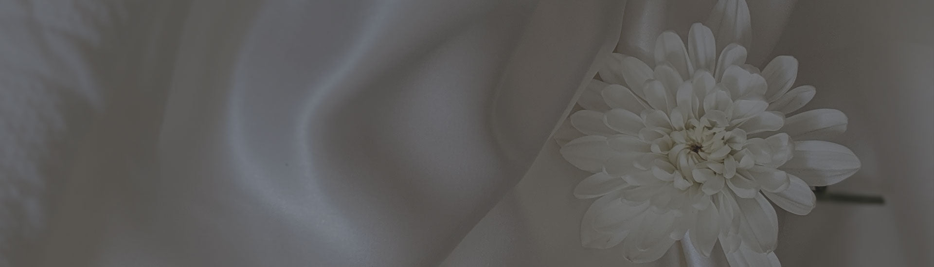 All About Silk Blog
