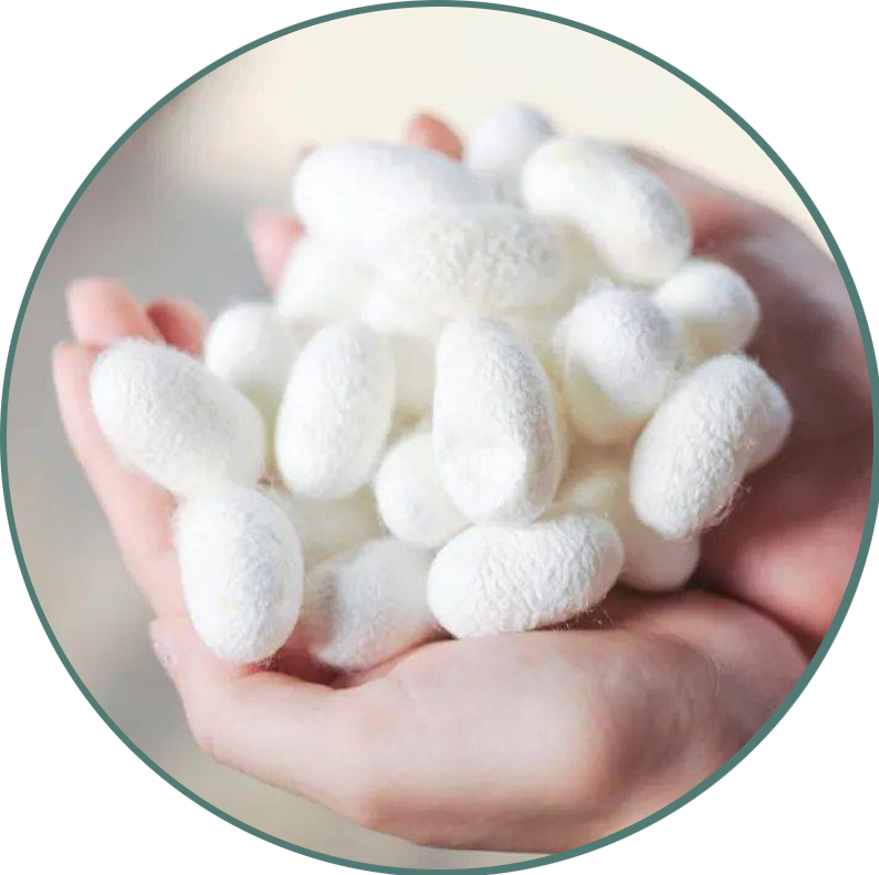 Silk Bedding is Naturally Hypoallergenic