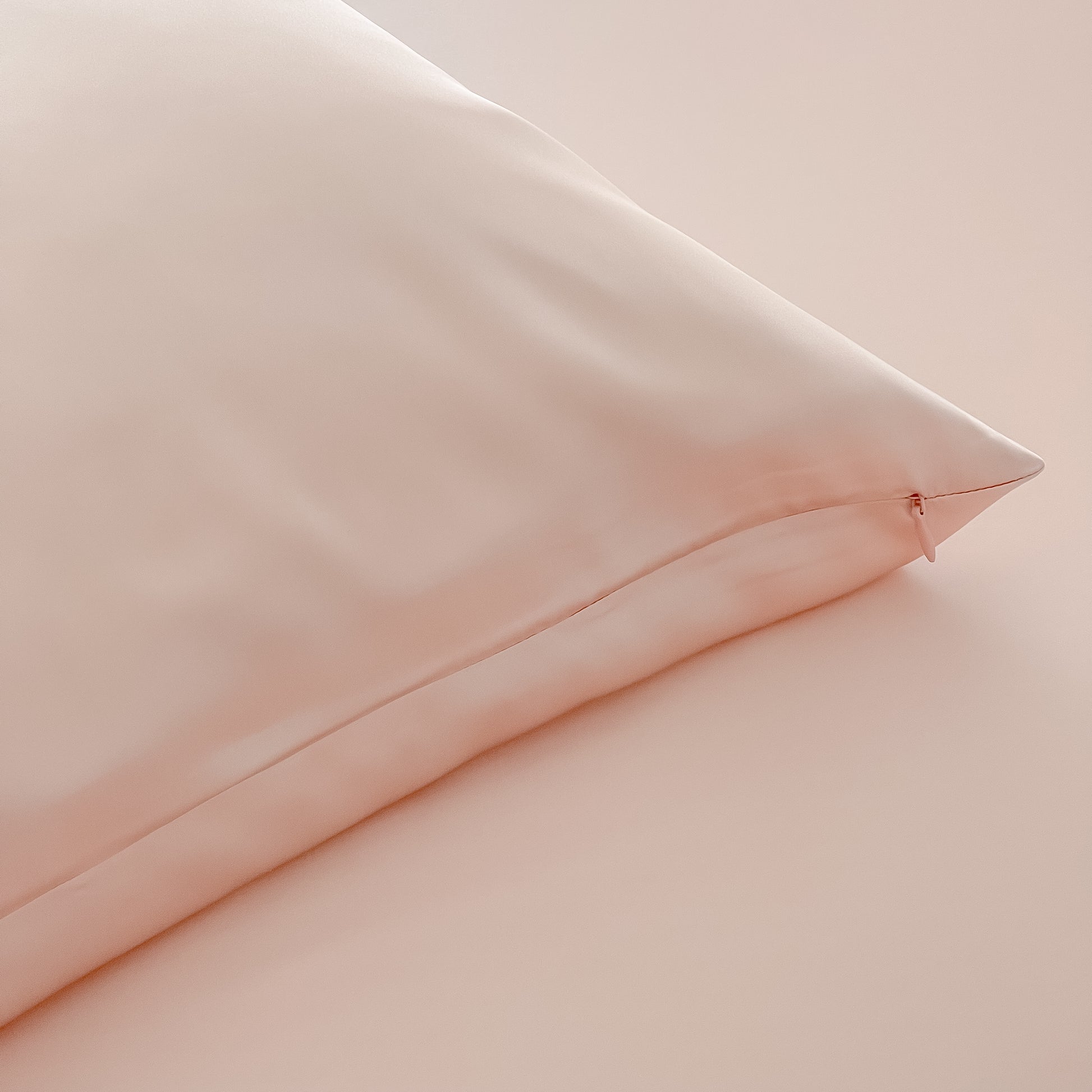 Blush Rose